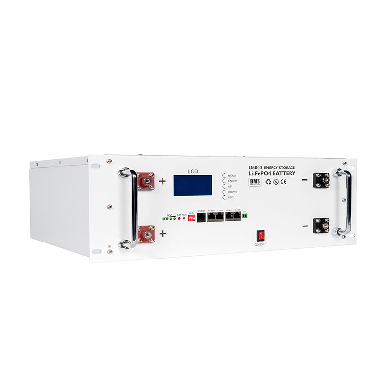Home Energy Storage Battery Rack-mounted LiFePO4 lithium batteries 48v 51.2V 100Ah 200Ah