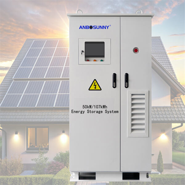 The Role of Energy Storage Systems
