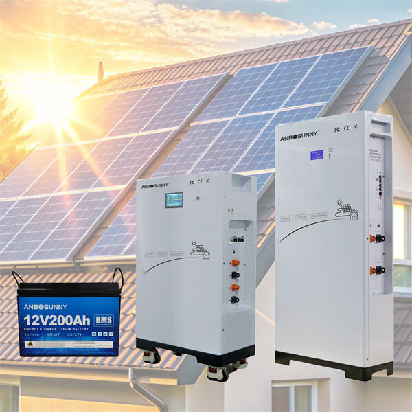 Lithium Ion Battery Packs for Sustainable Energy Solutions
