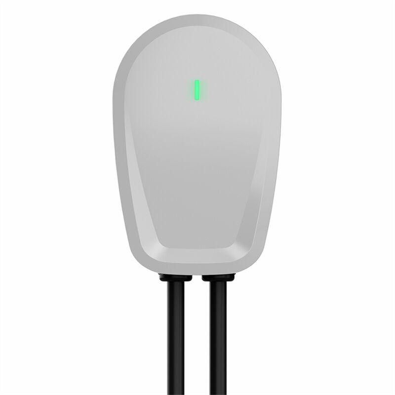 Experience Efficient, High-Powered Charging with a 32 Amp Charger