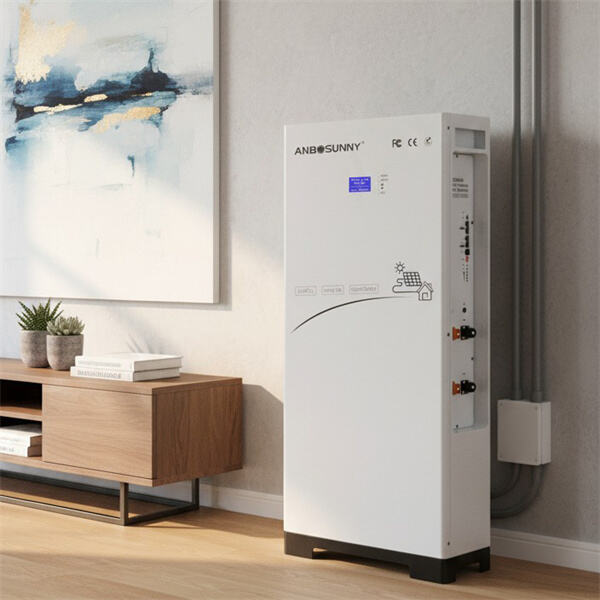 Transforming Energy Storage with Lithium Ion Battery Technology